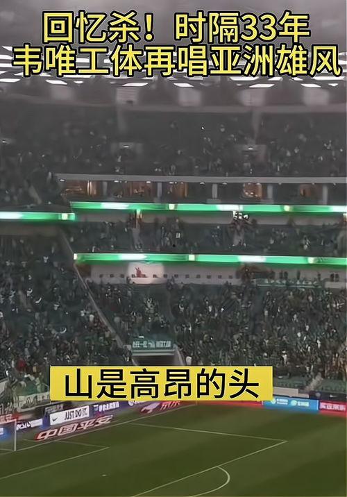 亚洲雄风视频,探寻东方文化的独特魅力